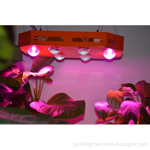 CF-Pd-460W High Power Hydroponics Device for Indoor Planting Use
